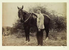 Man with black horse