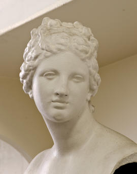 Plaster cast of Medici Venus (Version 2)