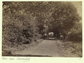 Moss Lane, Crossmyloof