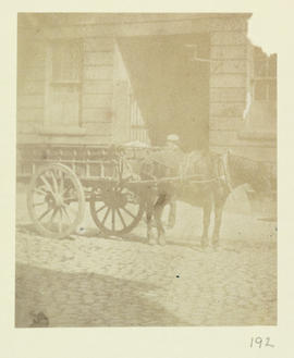 Horse and cart in city street