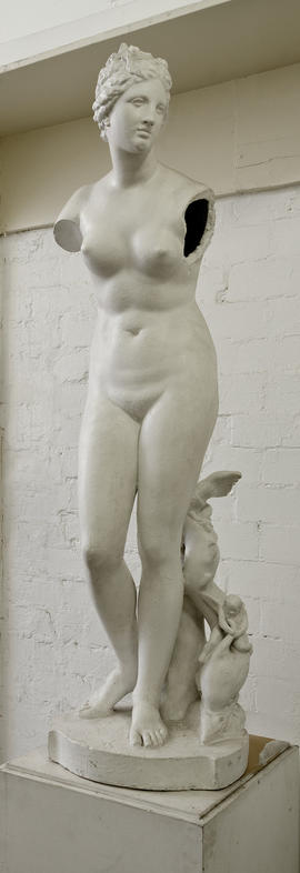 Plaster cast of Medici Venus (Version 1)