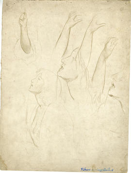 Study of torso, heads, and arms