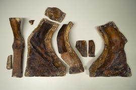 Mould of left foot with raised heel