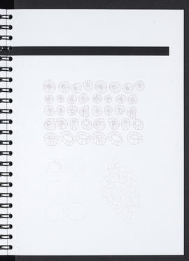 Illustrated note book (Page 31)