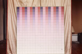 Slide of blue, pink and red gridded abstract