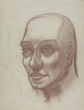Study of male head