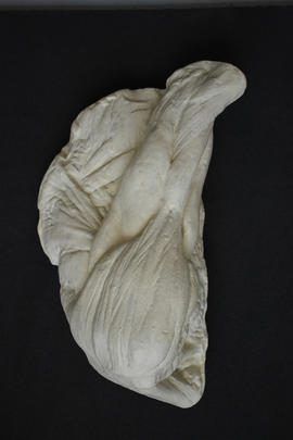 Plaster cast of shoulder muscle with neck and arm muscle structure