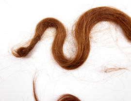 Margaret Macdonald's hair (Version 4)