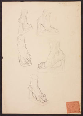 Studies from a foot cast