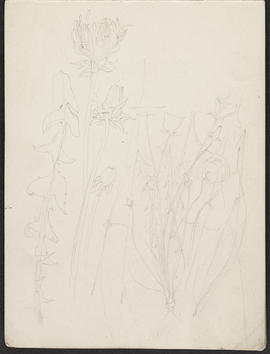 Mackintosh sketchbook (Page 9)