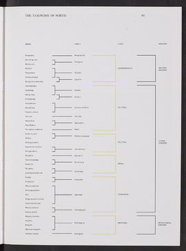 Arctic Alba; The Taxonomy of the North (Page 5)