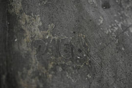 Plaster cast of acanthus leaf fragment (Version 4)