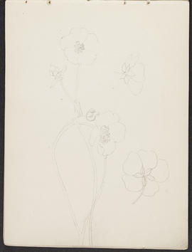 Mackintosh sketchbook (Page 23)
