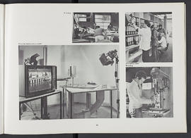 General prospectus 1980-1982 (Page 43)