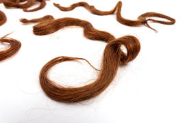 Margaret Macdonald's hair (Version 5)
