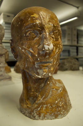 Anatomical bust (Version 1)