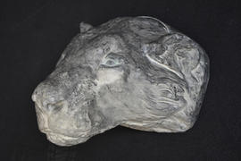 Plaster cast of tiger head (Version 4)
