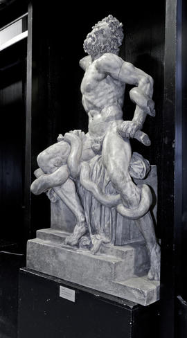 Plaster cast of Laocoon and his Sons (Version 5)