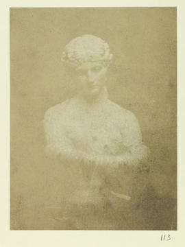 Bust of Clytie, front