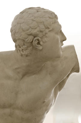 Plaster cast of Borghese Warrior (Version 3)