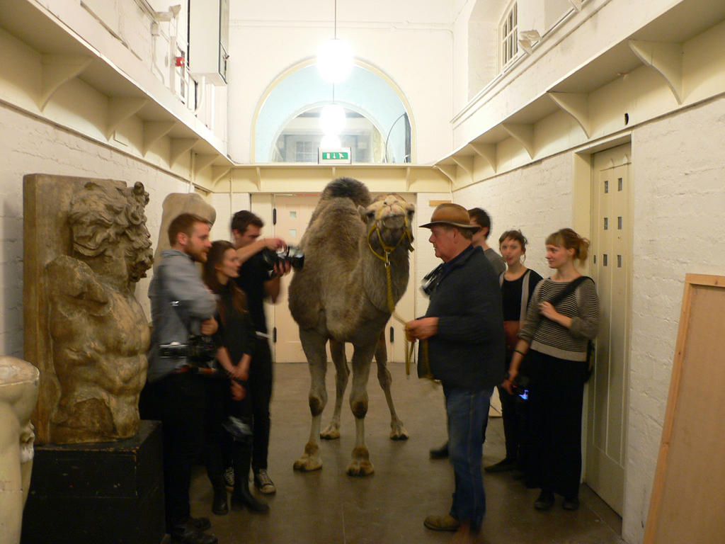 Camel in the basement of the Mackintosh Building