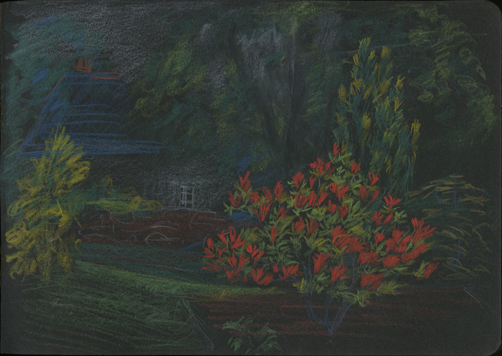 A scene of a red flowered bush and trees, with a house in the middle ground. Drawn with pastels on dark paper