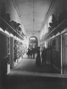 Black and white photograph of corridor of Mackintosh Building. Tehrea re four people in late 19th century clothin inthe corridor, which is lined on both sides with plaster casts at both floor level and above head height.