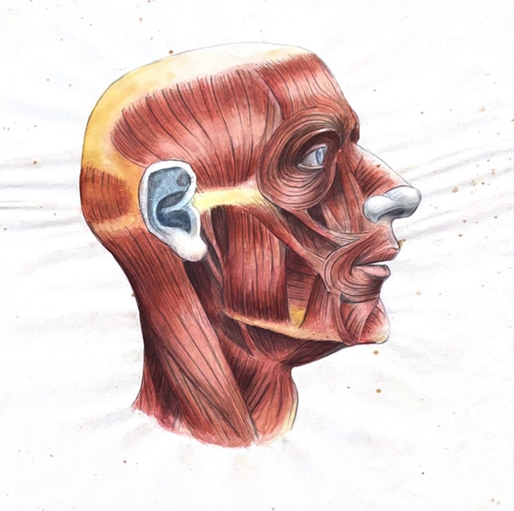 Drawing of a head. 1934-1935. pencil and watercolour on cartridge paper. DC 084/1/1